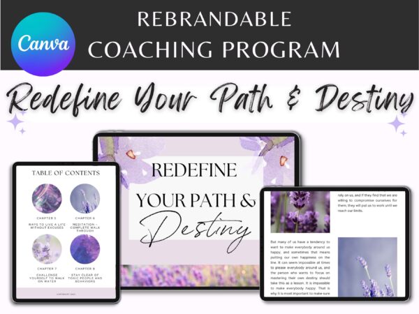 redefine your path destiny healing dfy